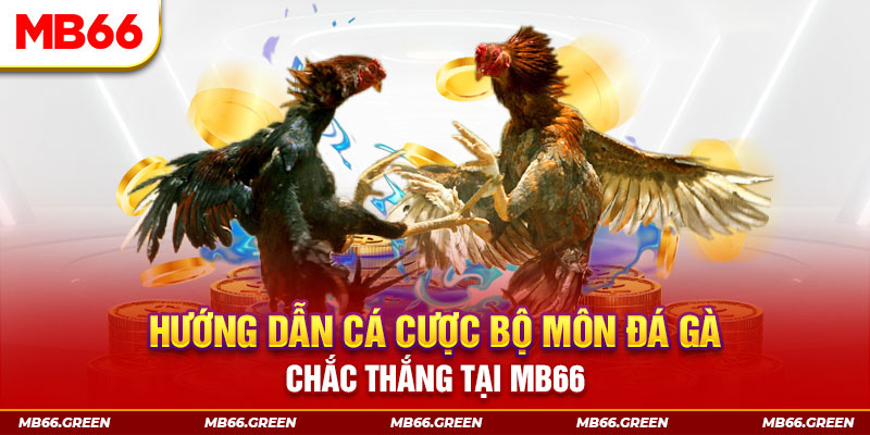 da ga 888 CQ9 Điện Tử