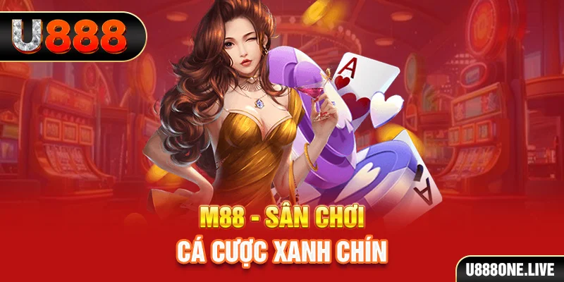 gà chọi cậu thanh
