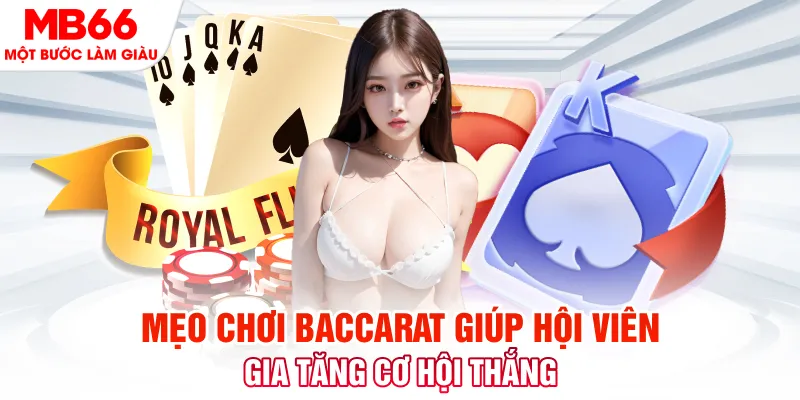 da ga 888 đá gà 88