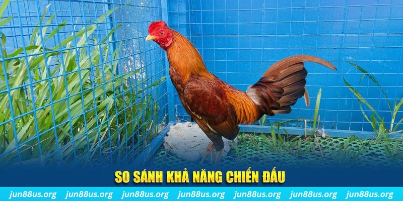 da ga 888 xổ số tiền giang