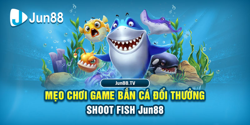 da ga 888 tai game danh bai bigkool ve may tinh