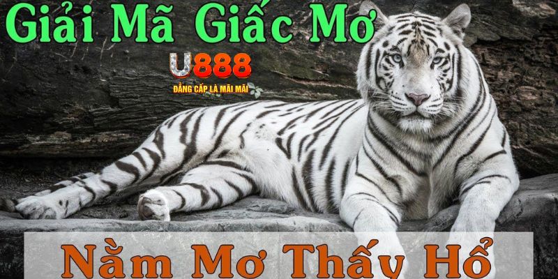 da ga 888 xổ số kiến thiết miền bắc