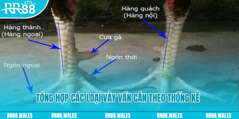 da ga 888 nổ hũ chơi như thế nào