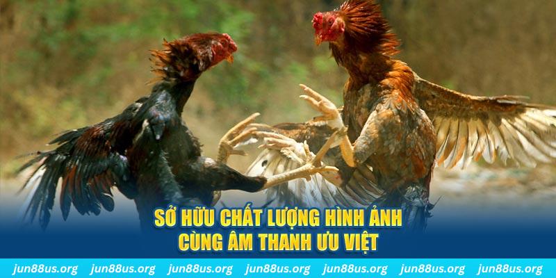 da ga 888 tai game danh bai ve may tinh