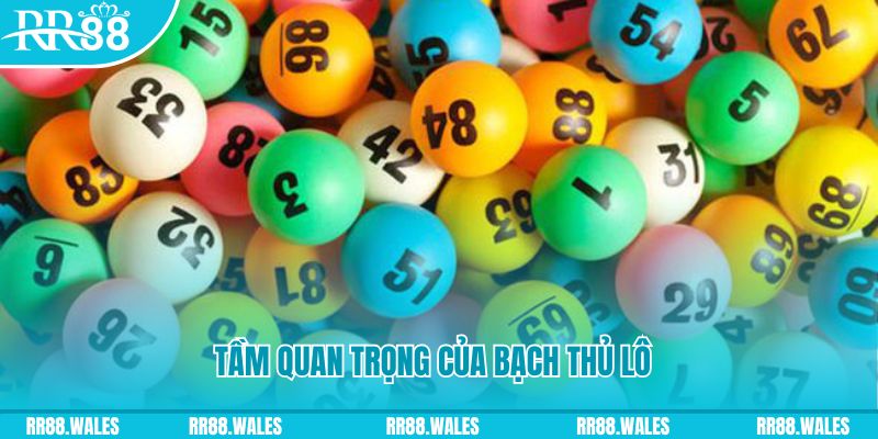 da ga 888 đá gà trực tiếp casino