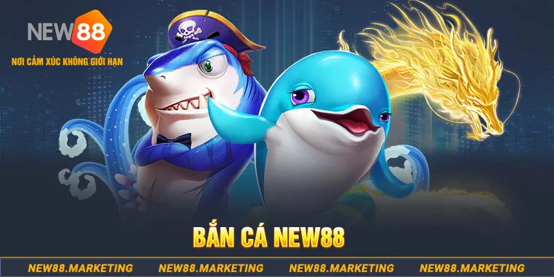 da ga 888 2 slot là gì