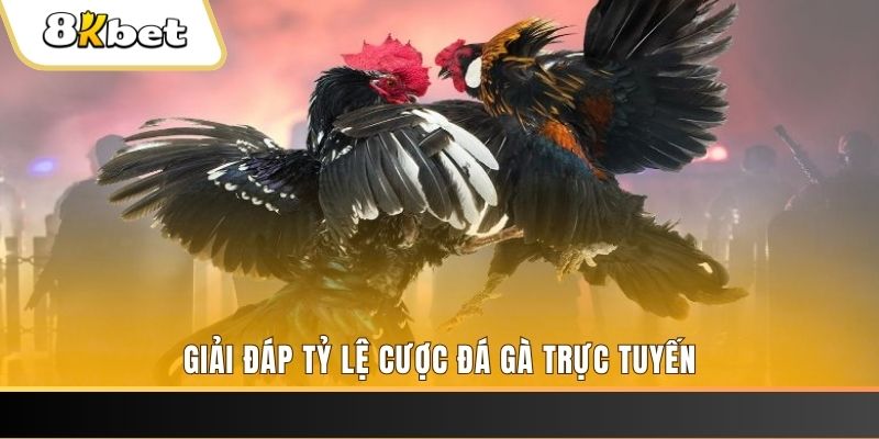 da ga 888 xổ số ba đài