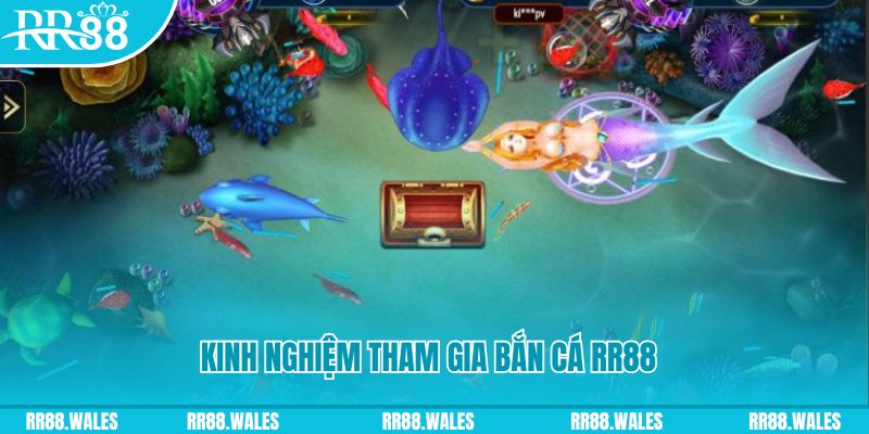 da ga 888 một slot là gì