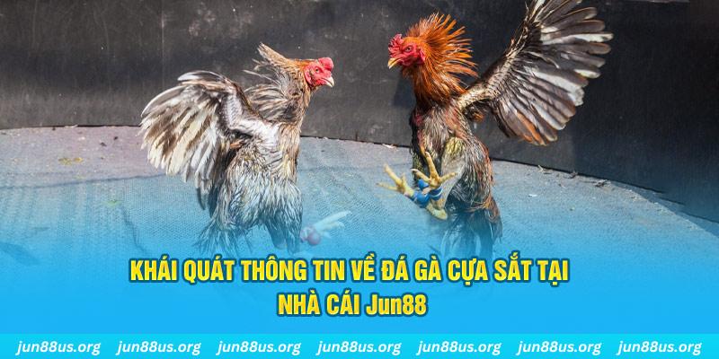 da ga 888 game bài trên máy tính