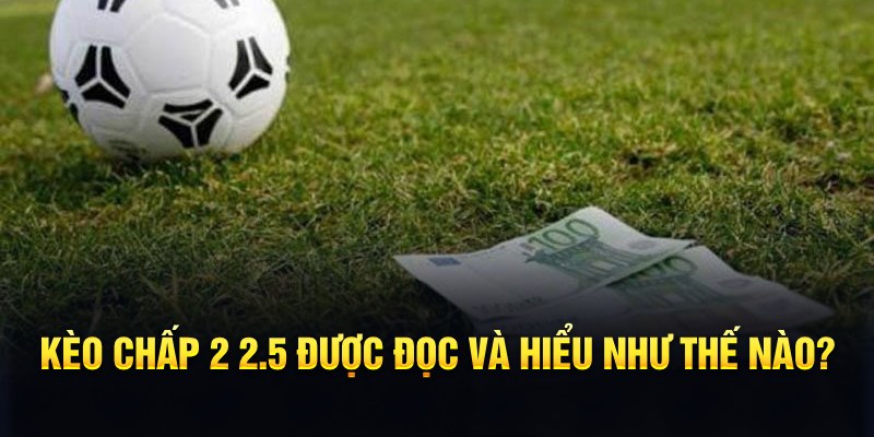 da ga 888 đá gà thomo