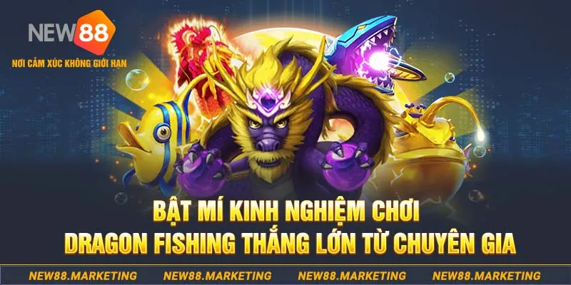 da ga 888 who wants to be a millionaire slot