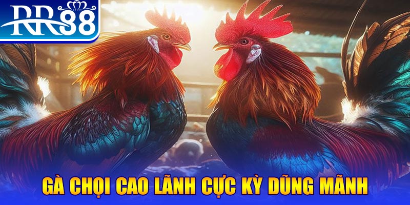 da ga 888 natural” trong baccarat nghĩa là gì？